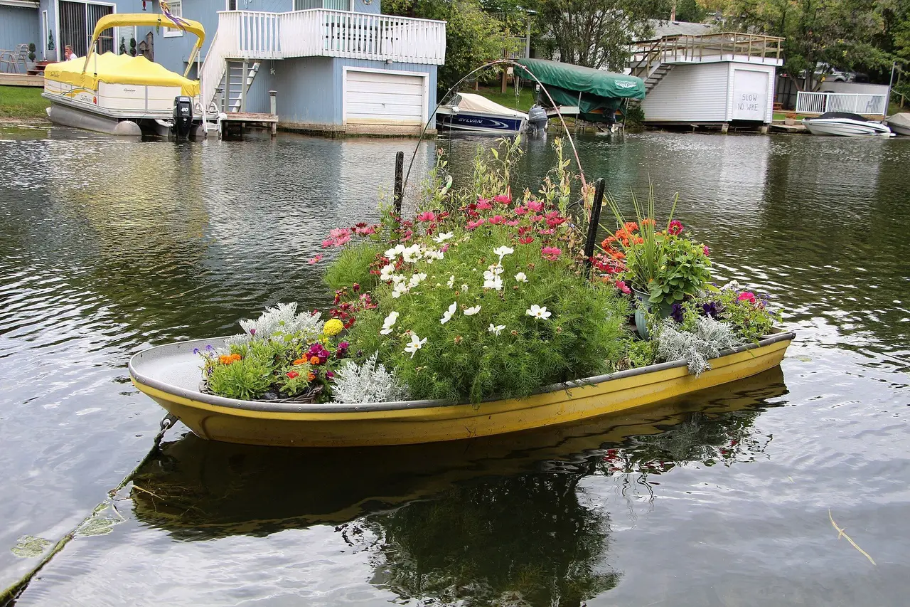 Flower garden in a boat at Cochin, 2016