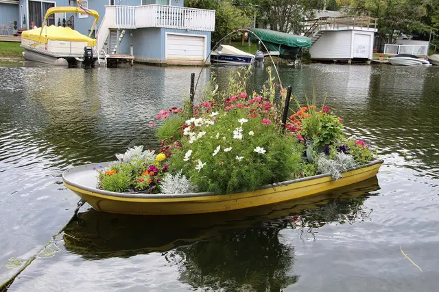Flower garden in a boat at Cochin